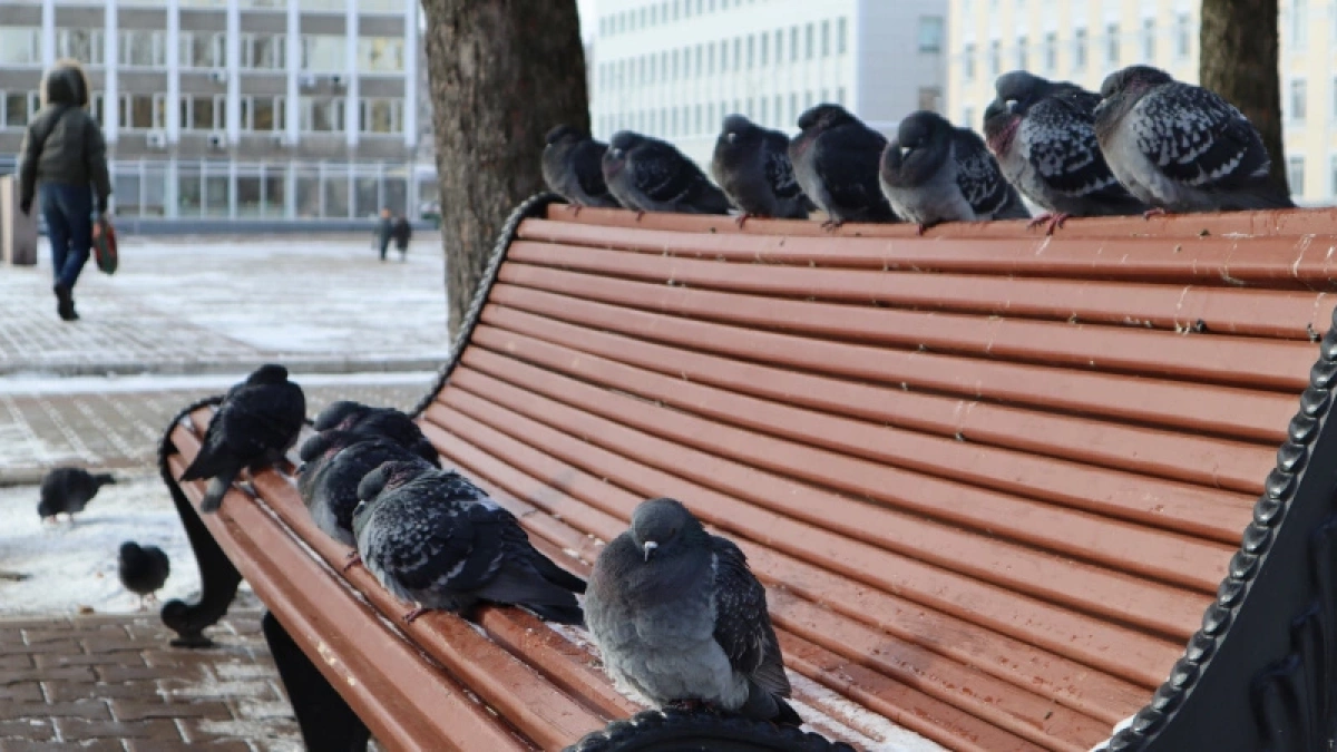 Раннее потепление или морозы до апреля? Какой будет весна в России в 2026 году