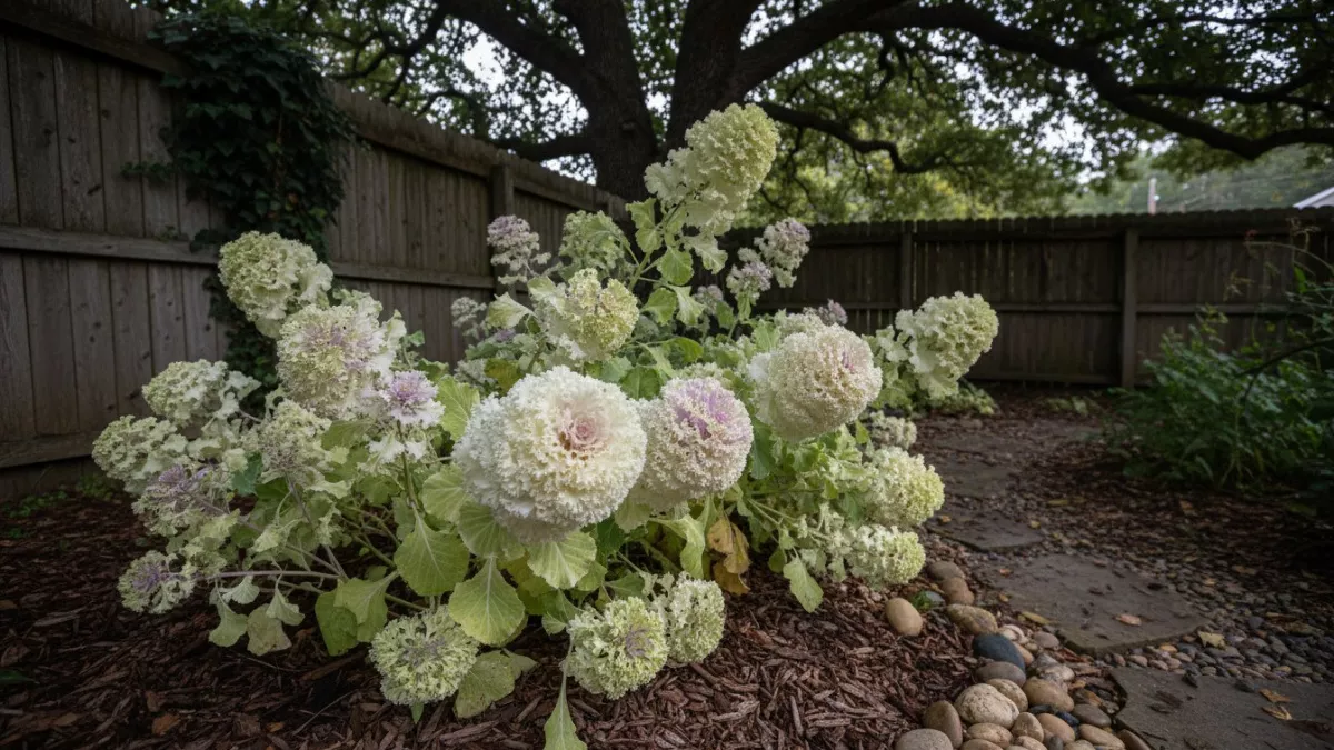 Расцветет на клумбе шикарным облаком: найден эффектный многолетник, который радует цветением даже в тени