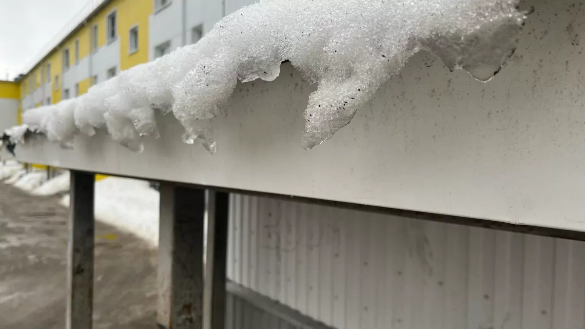 Потепление после морозов: синоптики рассказали о погоде в Иркутской области 13 марта