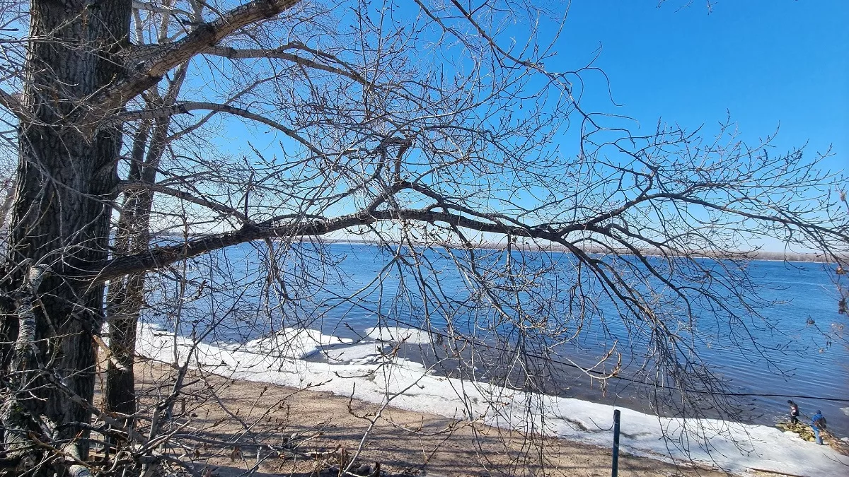 Весне придется подождать: синоптики предупредили о возвращении морозов до −16 градусов в регионах России