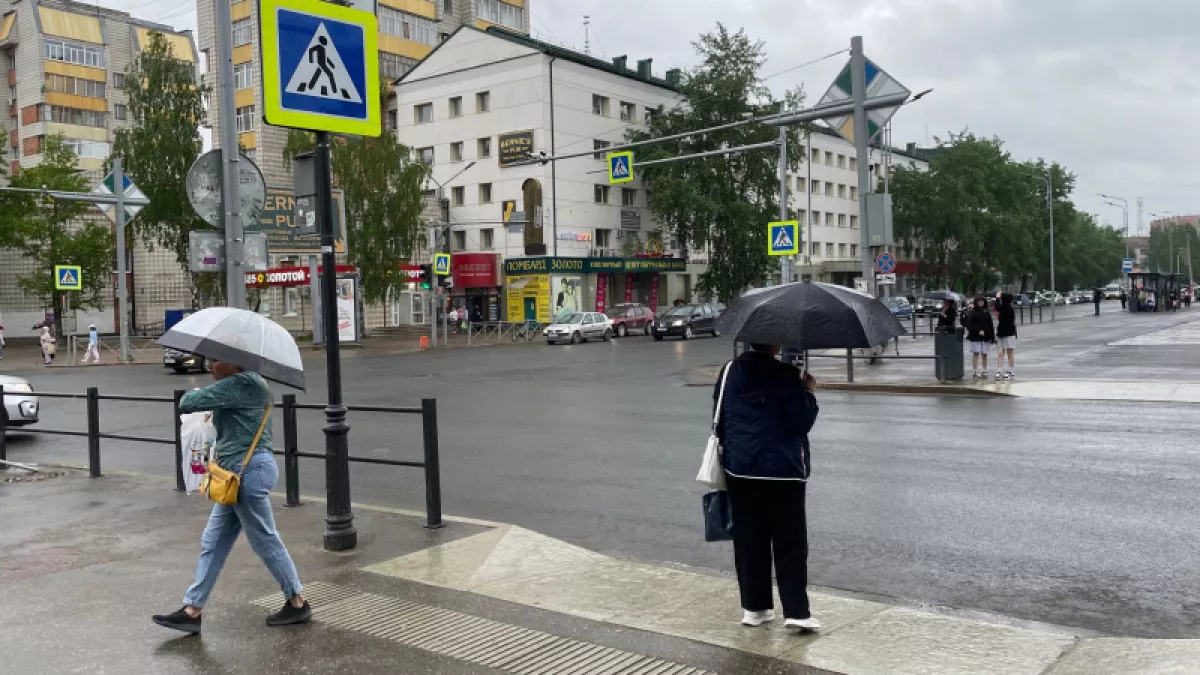 Каким будет лето 2026 после аномально снежной зимы: мнение экспертов о том, что ждёт садоводов