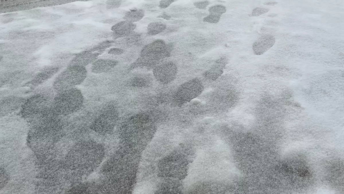 В Иркутской области 17 марта ожидается холодная погода с умеренными снегопадами