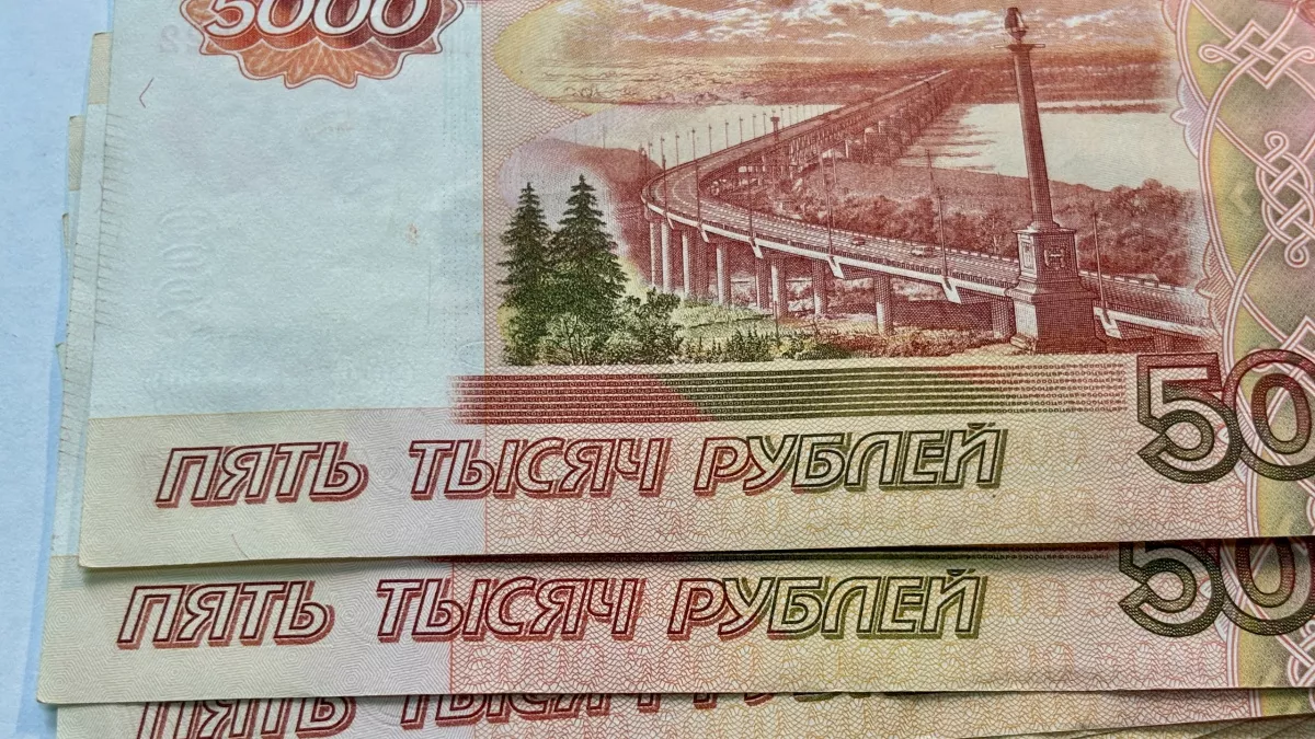 “Федеральному экологическому оператору” поручили найти 5,3 миллиарда для подрядчика в Усолье