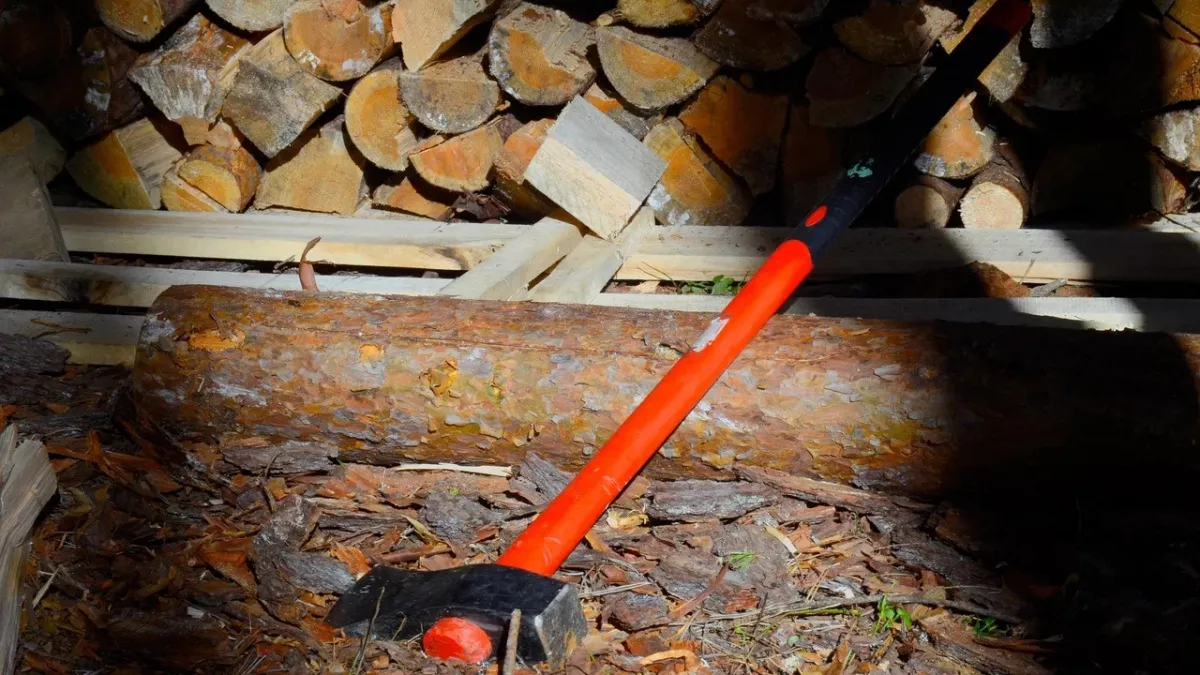 В Иркутской области вынесли приговор 21-летнему юноше за убийство двух человек топором 