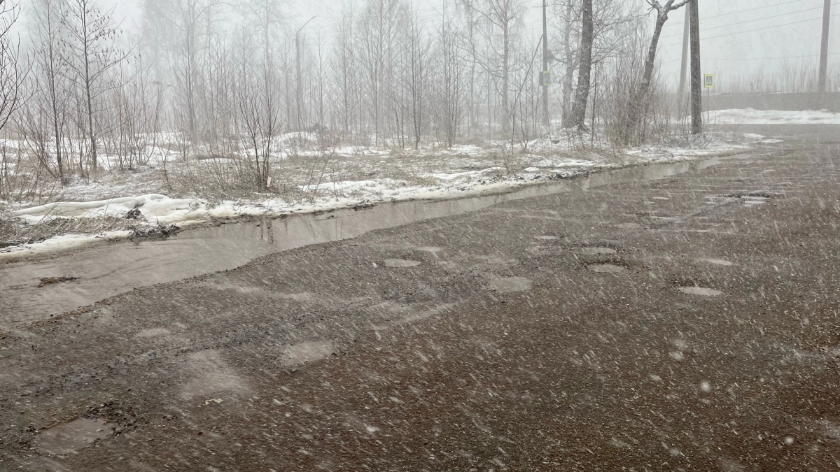 В Иркутской области ожидается сильный ветер и мокрый снег: погода в регионе 19 марта