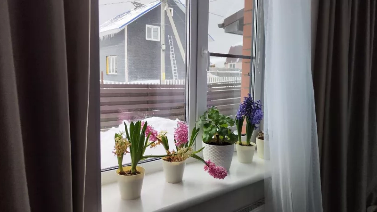 Разводим 40 г — окна прозрачные, будто их нет: ни разводов, ни налета — проверенный способ