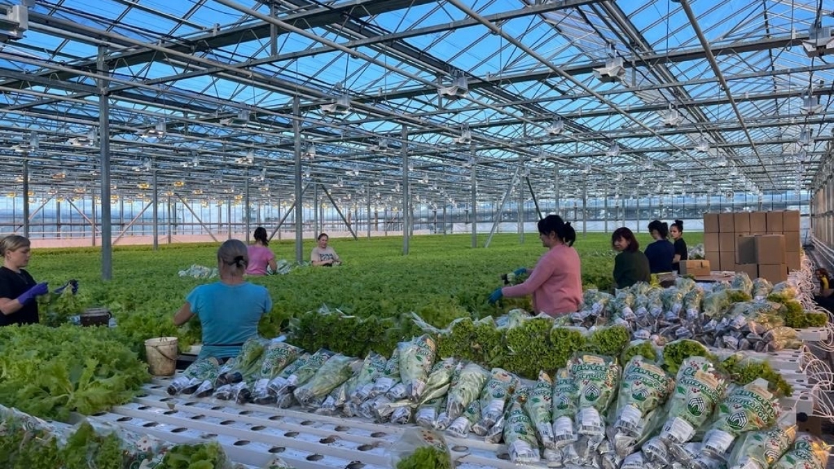 Фермеры Иркутской области получат рекордные суммы господдержки