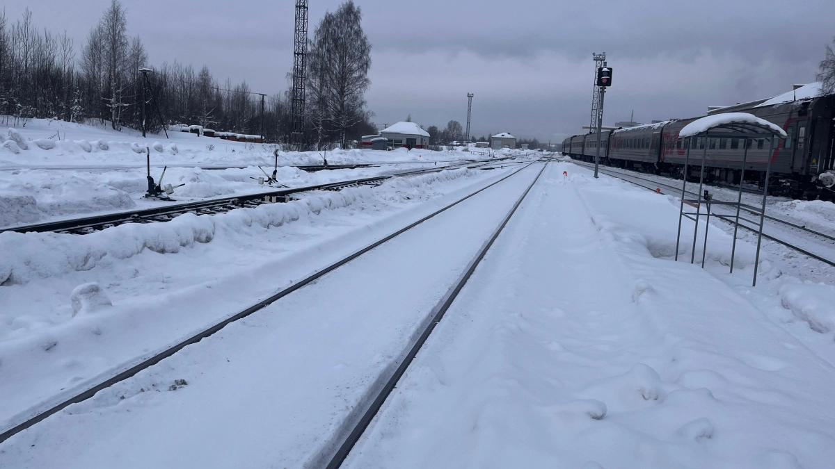 В Усольском районе женщина погибла после падения под колеса поезда