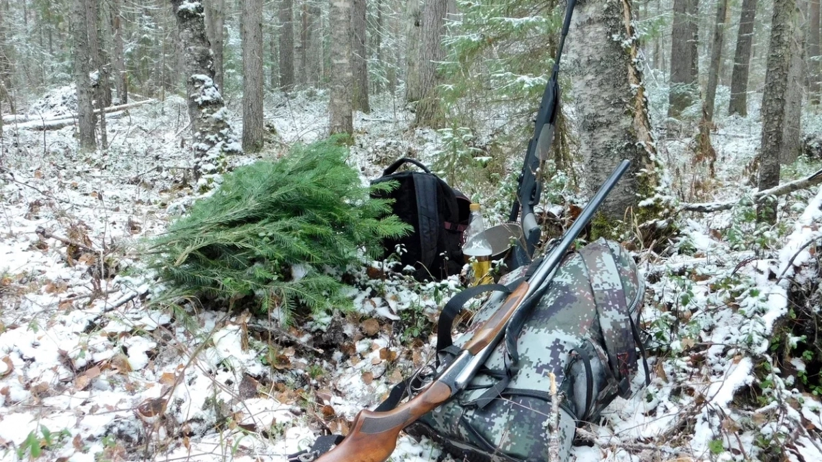 В Иркутской области браконьер застрелил двух сибирских косуль