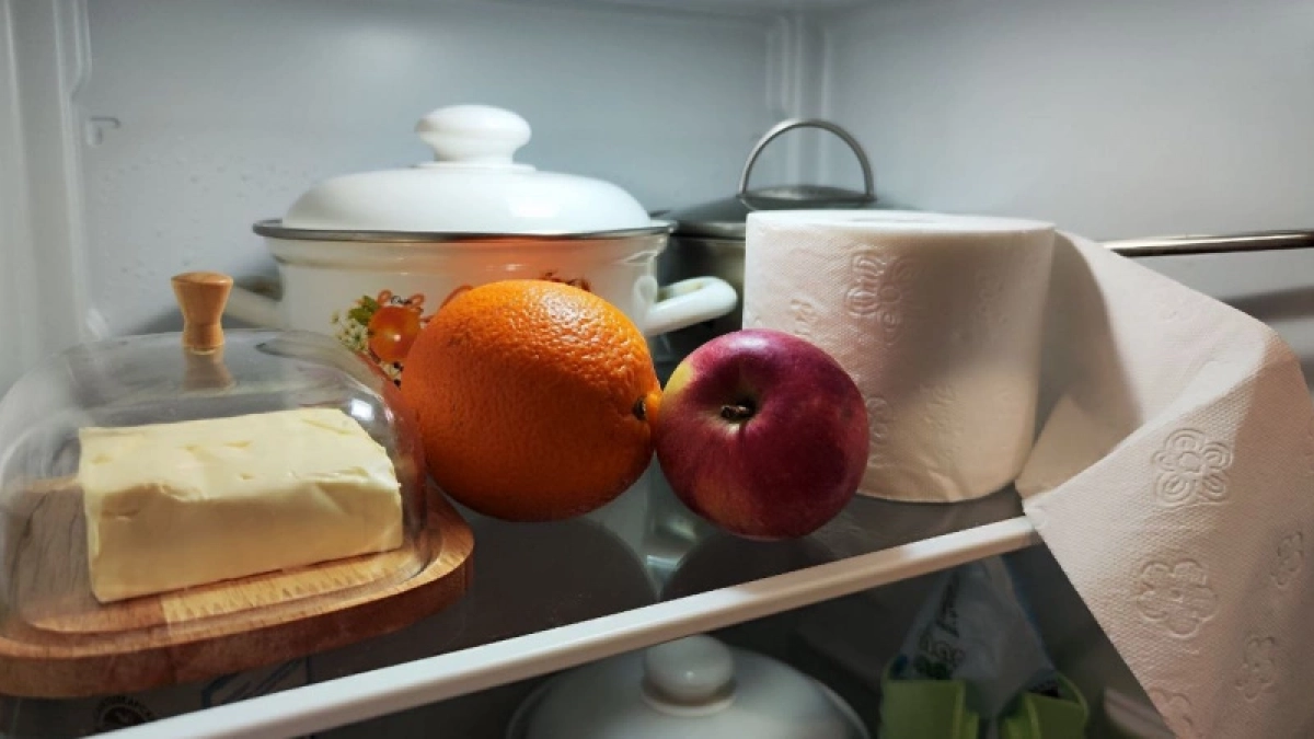 Кладу туалетную бумагу в холодильник и наслаждаюсь результатом: вот зачем так делаю — лайфхак немецких домохозяек