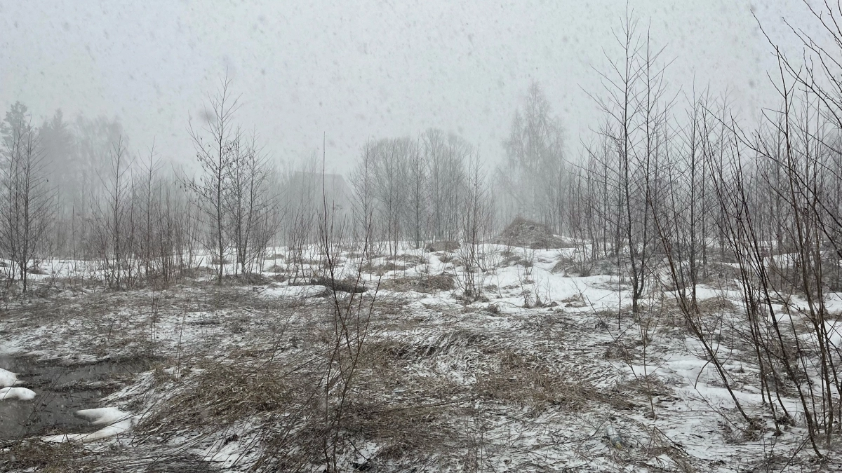 В Иркутской области ожидается ветреная погода: синоптики рассказали о прогнозе на 24 марта