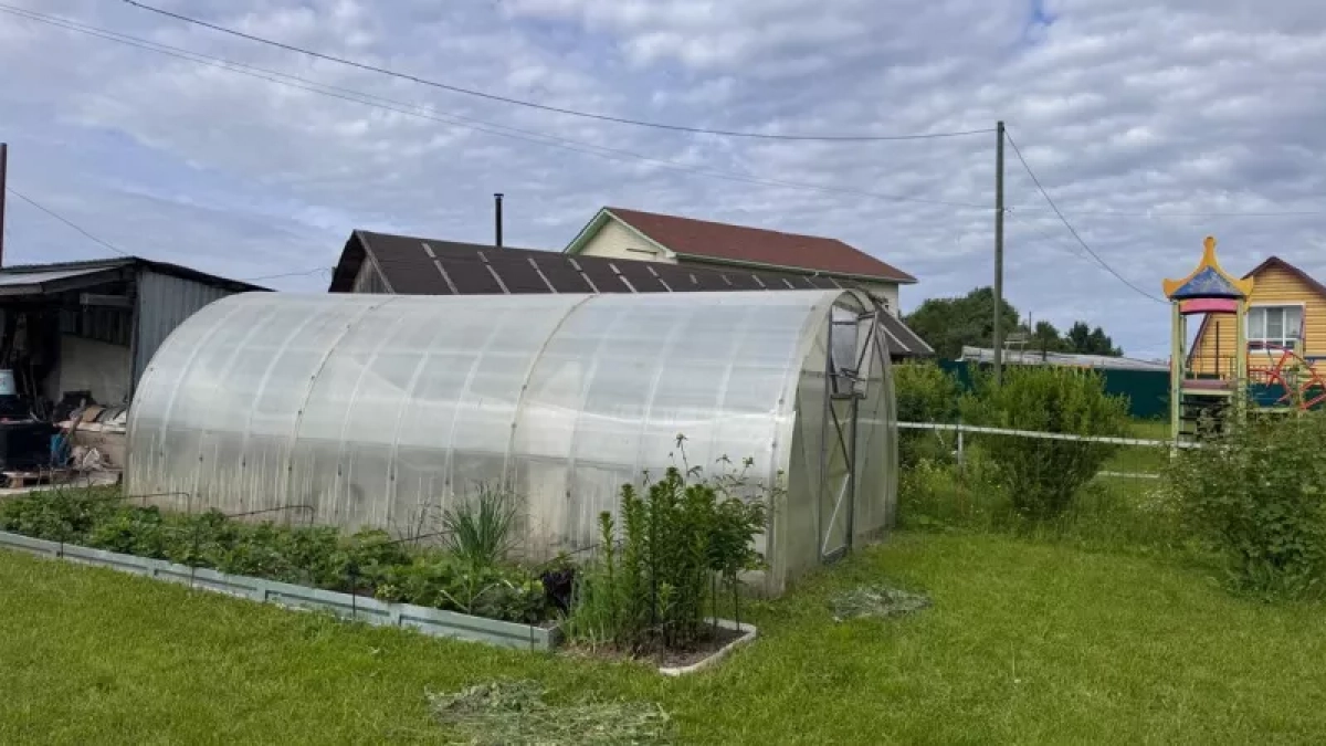 Пленка и поликарбонат больше не в моде: сейчас все предпочитают для теплиц этот вариант — куда надежнее и удобнее