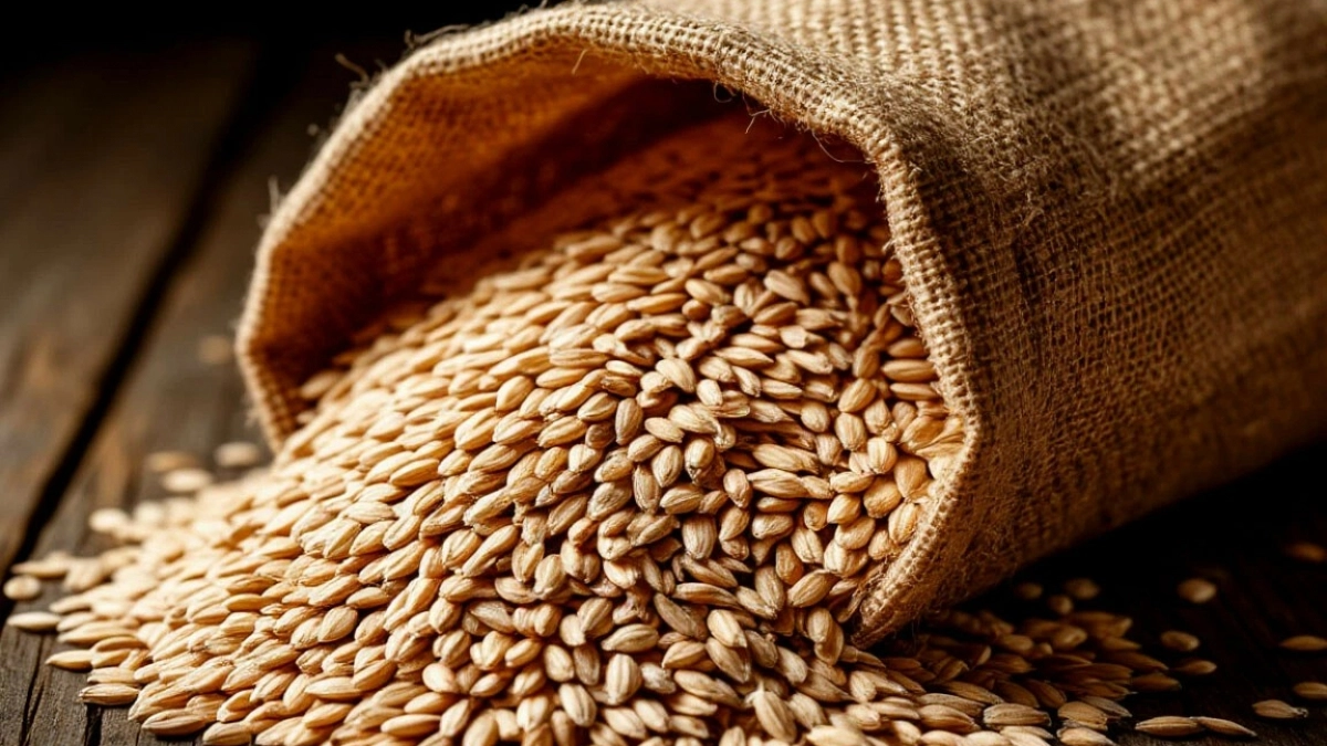 Аграриям Иркутской области вынесли десятки предостережений за зерно без документов