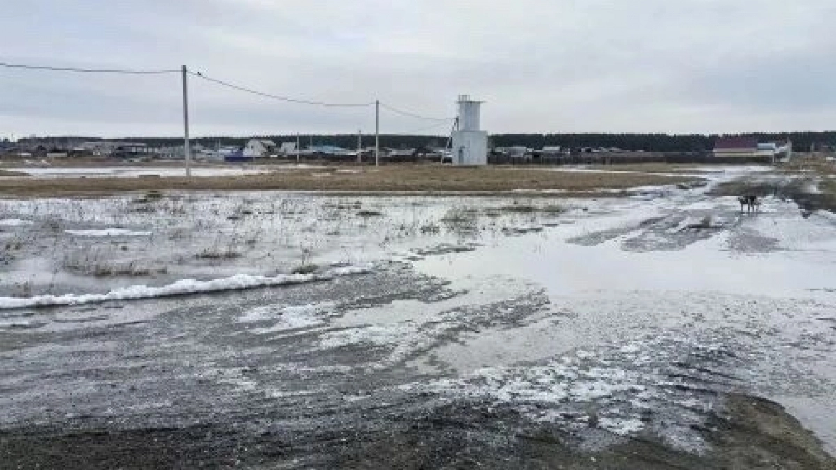 В Усольском районе талые воды затопили 23 приусадебных участка