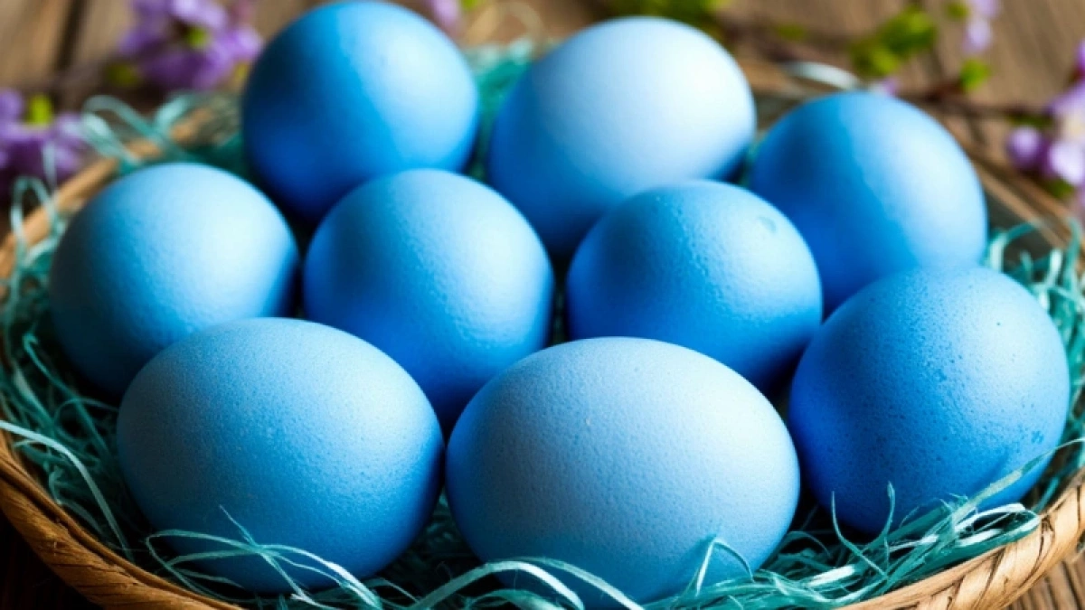 Погружаю яйца в отвар из натуральных ингредиентов — на выходе яйца небесно-голубого цвета