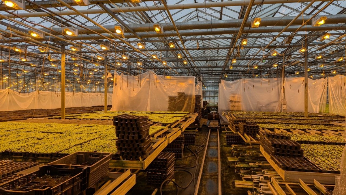 Фермеры Иркутской области получат более 300 миллионов рублей господдержки