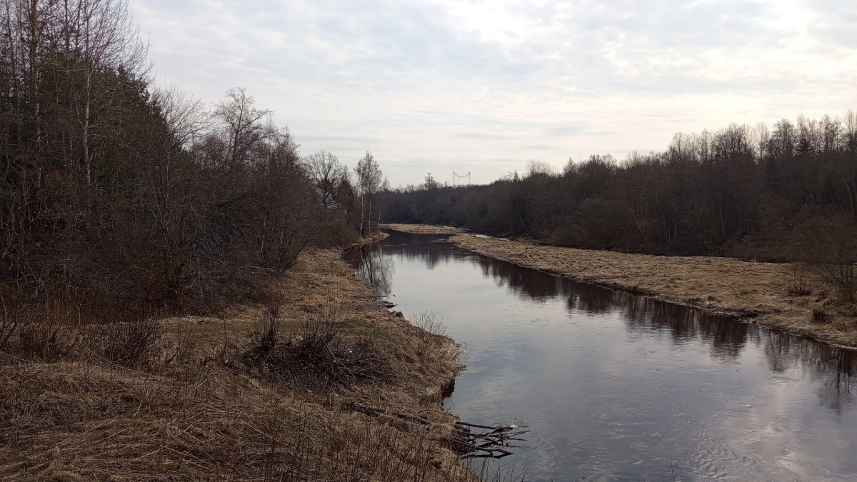 В Усольском районе из-за паводков подтоплены дома и участки