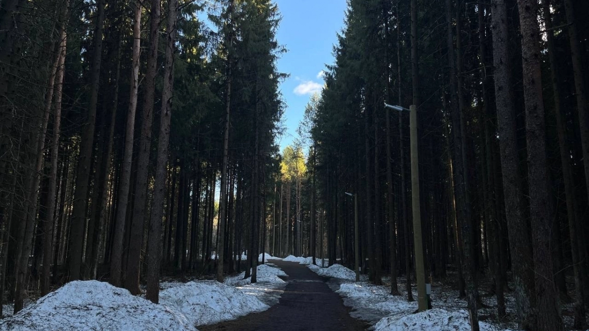 В Иркутской области 29 марта ожидаются осадки и потепление до плюс 14 градусов