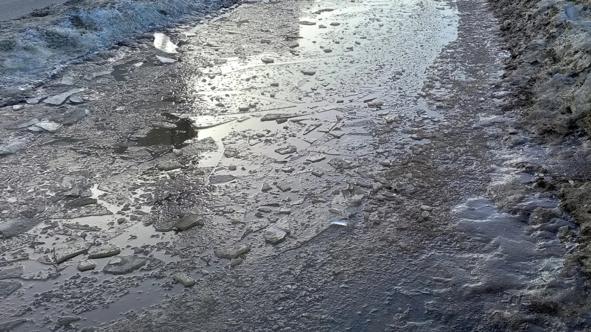 В Иркутской области талые воды затопили почти 100 участков и жилые дома