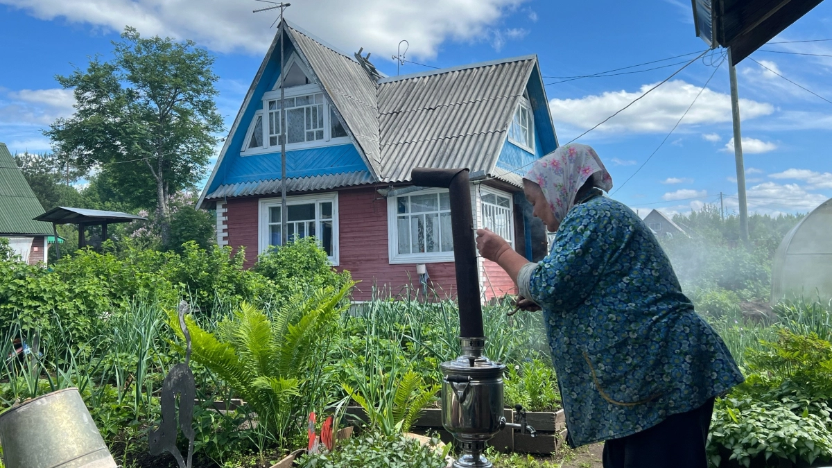 Толпа китайцев стояла у бабушкиного огорода и требовала продать им сорняк: "русское чудо", которое в России не ценится