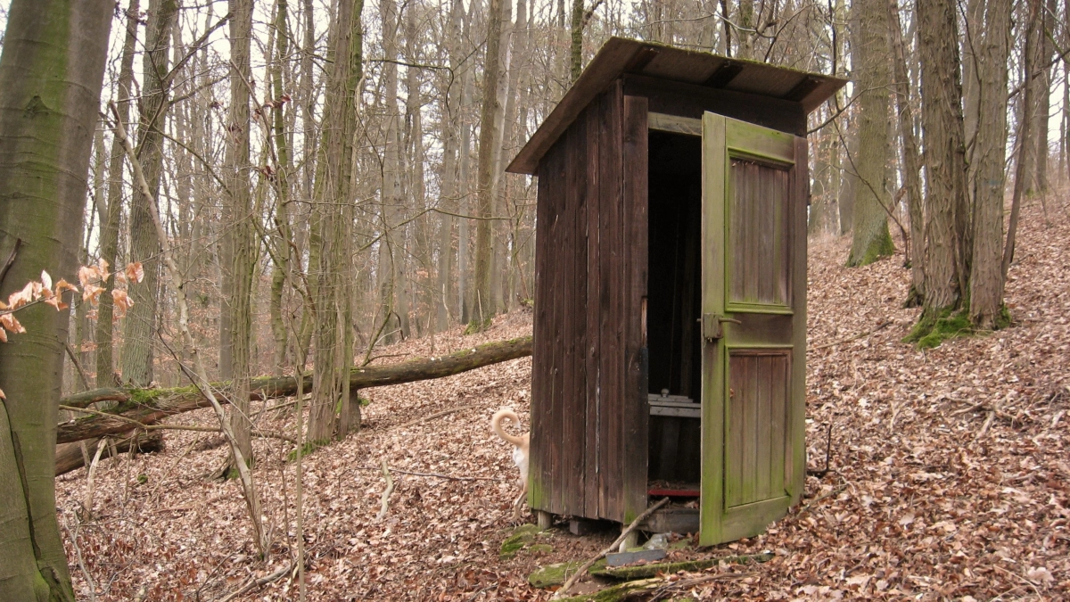 Кидаю в септик 1 гриб — и никаких хлопот год: никакой вонищи и откачки, все разложилось само собой