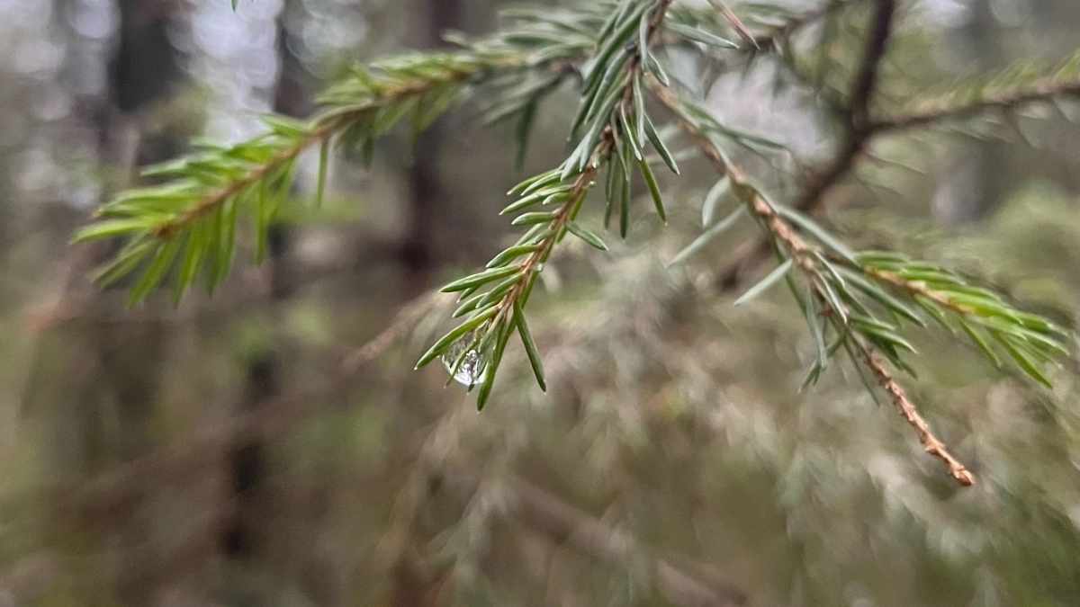 Синоптики рассказали о погоде в Иркутской области 1 апреля: от -20 до +9 градусов