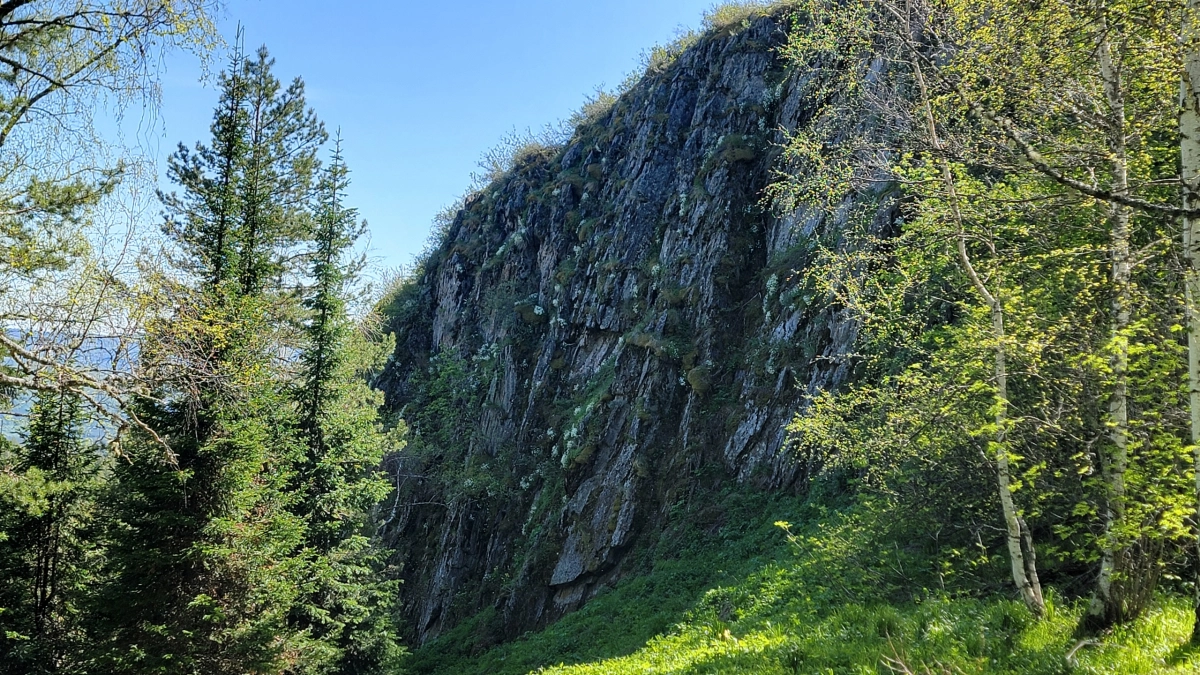 7 памятников природы в Иркутской области получили режим особой охраны