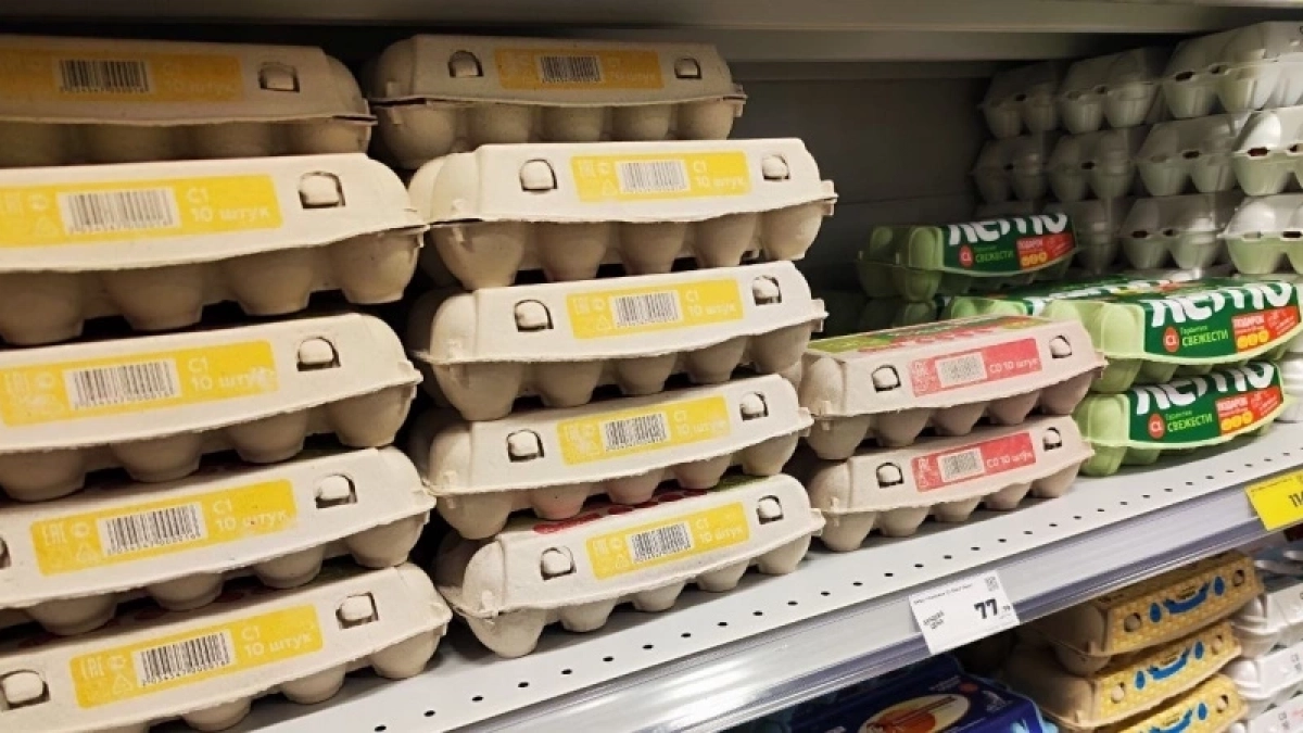 Пустые лотки от яиц больше не выбрасываю: узнала как их можно использовать и не нарадуюсь — пригодились в прихожей