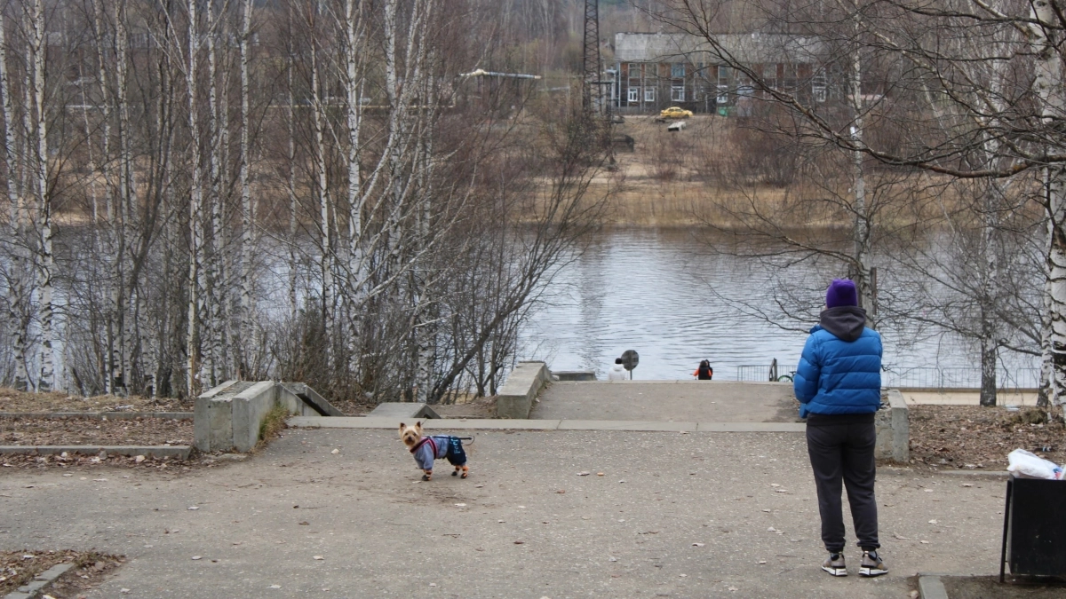 В Иркутской области с начала года более 130 владельцев животных наказали за нарушения правил содержания