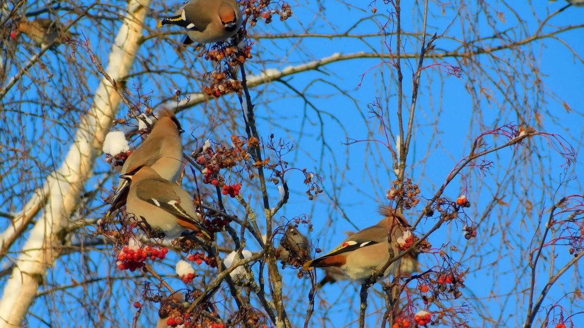 В Иркутской области двум природным территориям придадут особый статус в 2027 году
