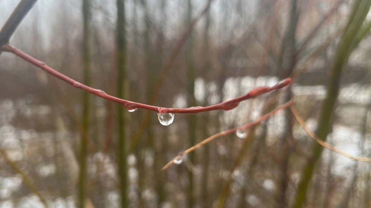 В Иркутской области 5 апреля ожидаются перепады температур и осадки