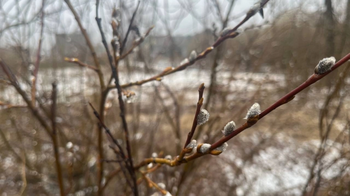 От -17º ночью до +17º днем: в Иркутской области 6 апреля ожидаются погодные контрасты