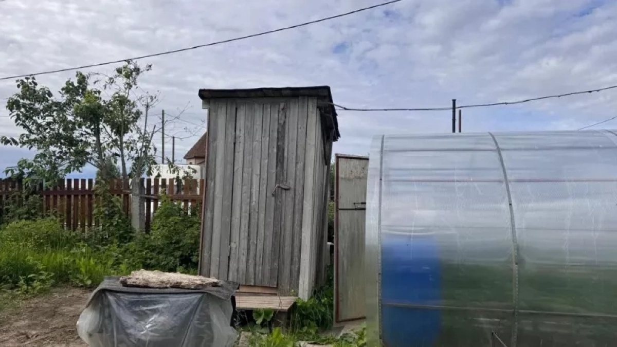 Посадите эти деревья возле выгребной ямы — и забудьте про откачку: эффективный способ