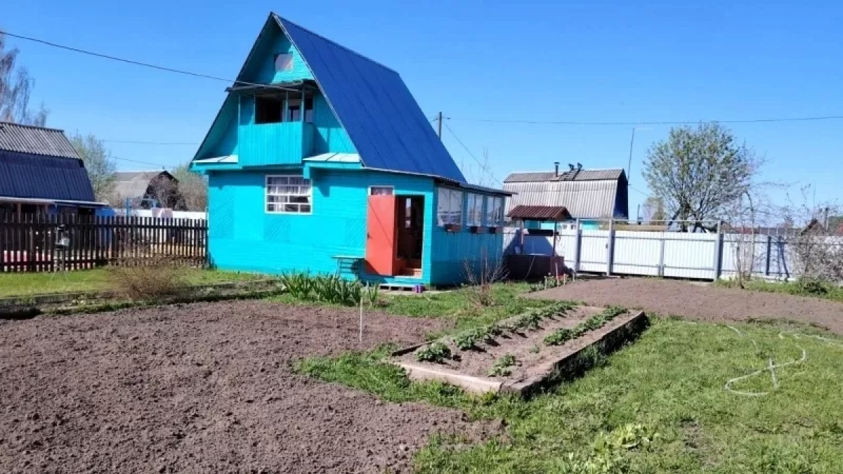 Ушлые дачники весной закупают соду пачками — это обязательно: от вредителей и для урожая — 3 полезных совета