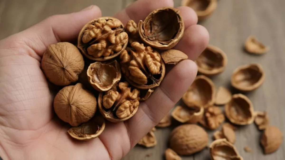 Одна горсть орехов после 55 ежедневно сохранит память ясной: секрет средиземноморских долгожителей