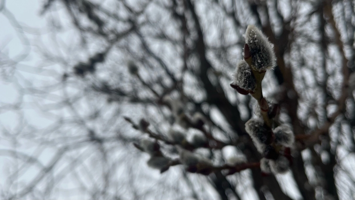 В Иркутской области 9 апреля пройдут осадки и усилится ветер до 26 метров в секунду