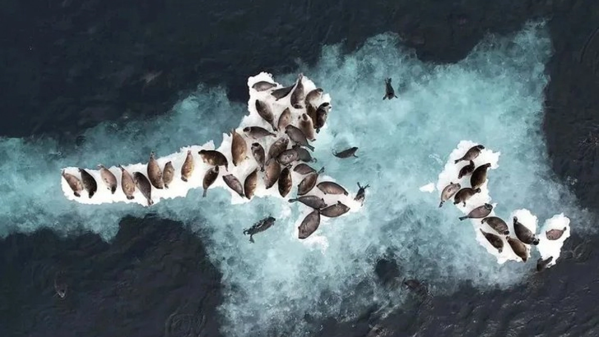 Учёные Иркутской области завершили зимний сезон исследований на байкальском льду