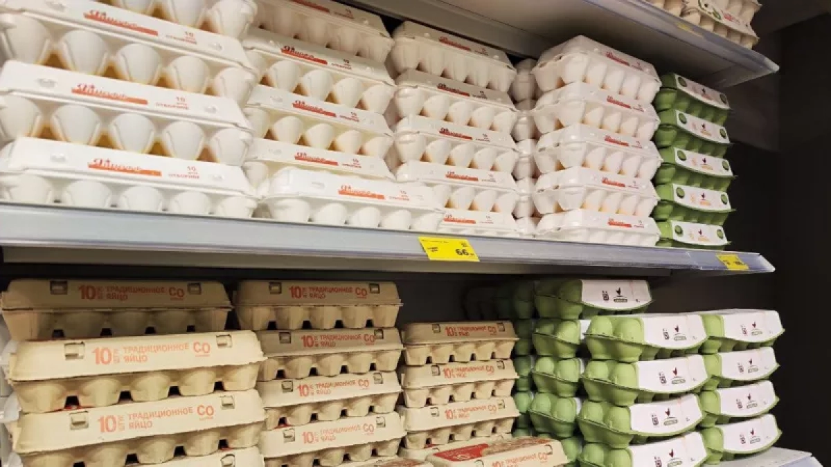 Лотки от яиц спускаю в погреб — и всю весну слезы счастья утираю: нужны не для хранения урожая — эффект бесценен