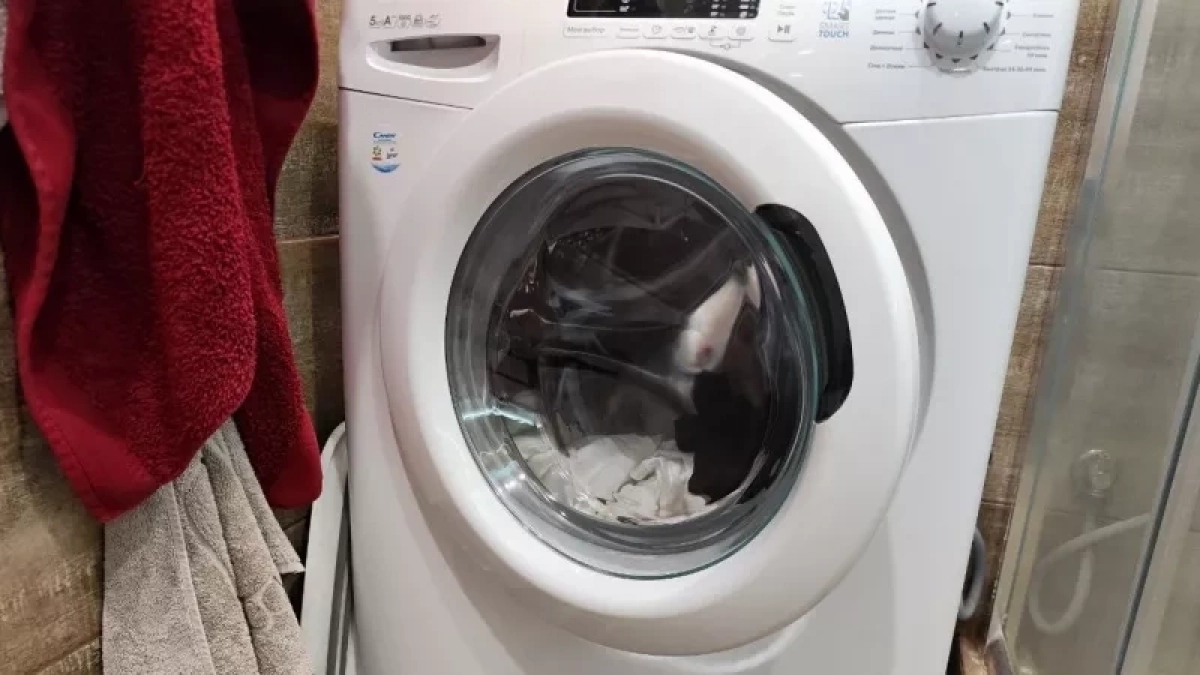 Зажмите 2 кнопки — и стиралка сама очистится от грязи и плесени: без дорогой химии и вызова мастера