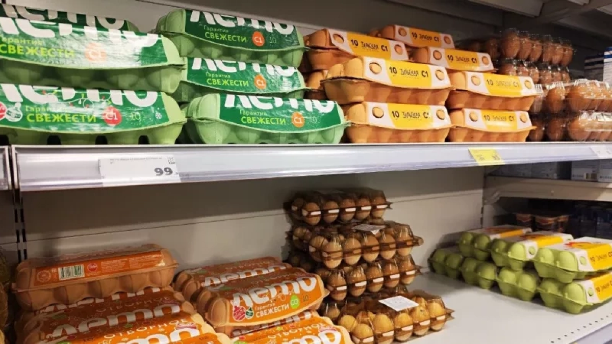 Лотки от яиц спускаю в погреб — и всю весну слезы счастья утираю: нужны не для хранения урожая — эффект поражает