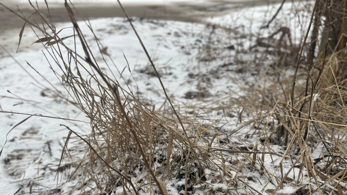 Снег, дождь и порывистый ветер: синоптики рассказали о погоде в Иркутской области 14 апреля