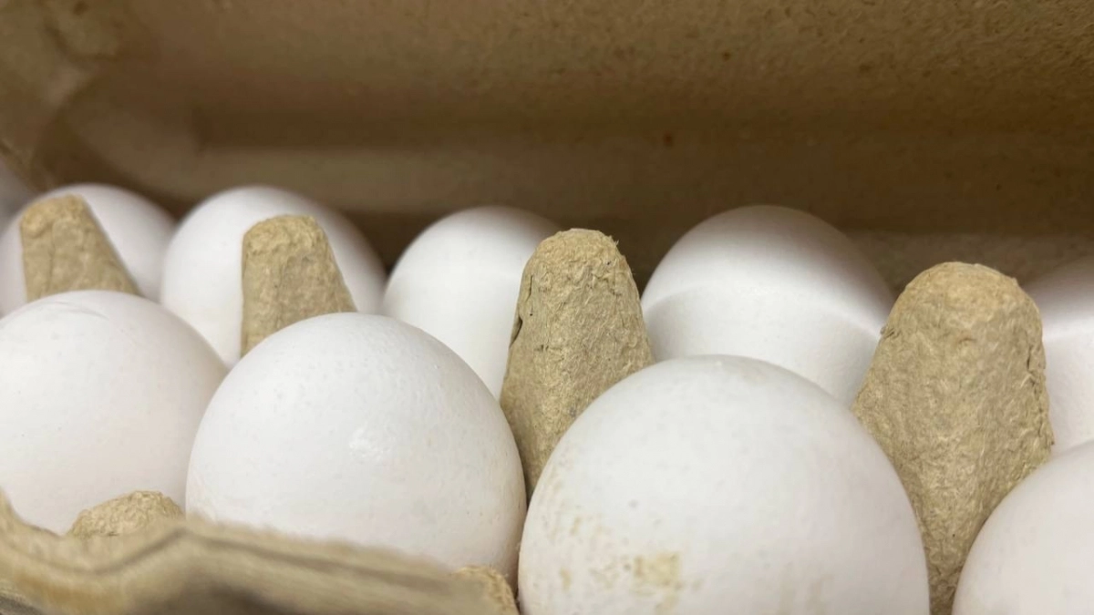 В Иркутской области куриные яйца подорожали на 10,7%, а огурцы подешевели на 36%