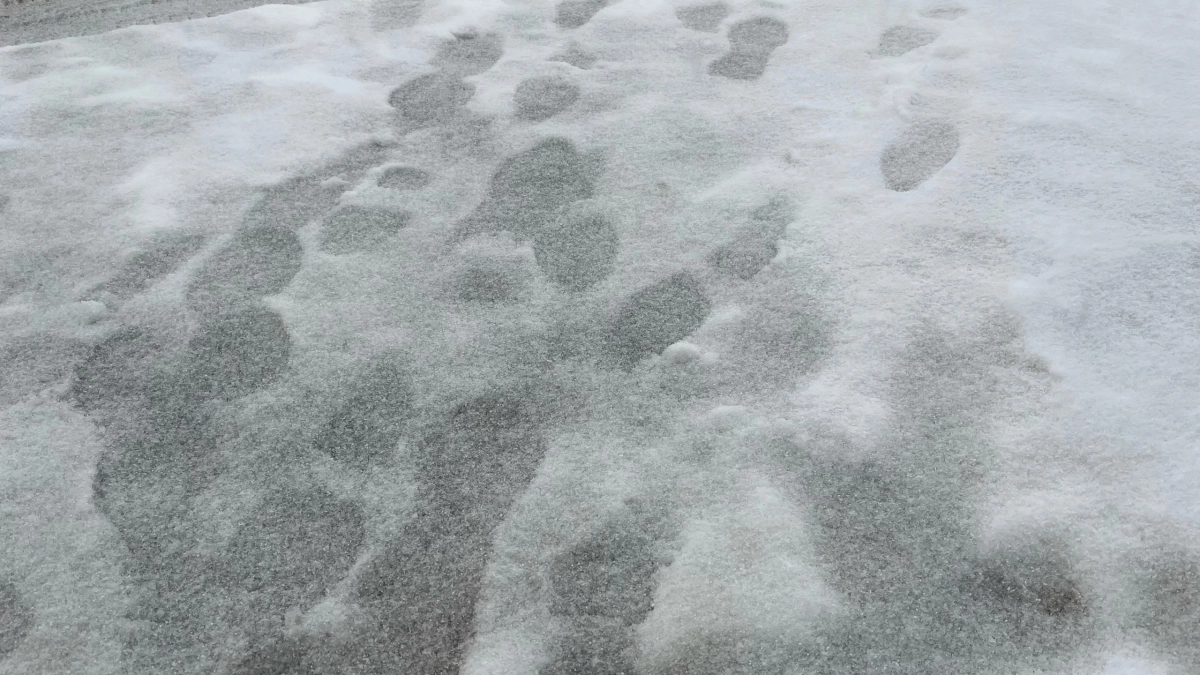 В Иркутской области ожидаются перепады температуры и смешанные осадки: погода в регионе 16 апреля