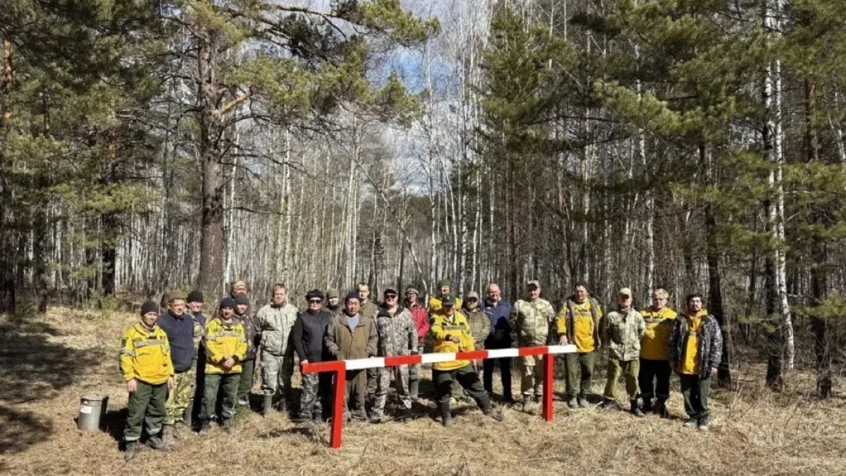 В Иркутской области приводят в порядок лес у Байкальского тракта