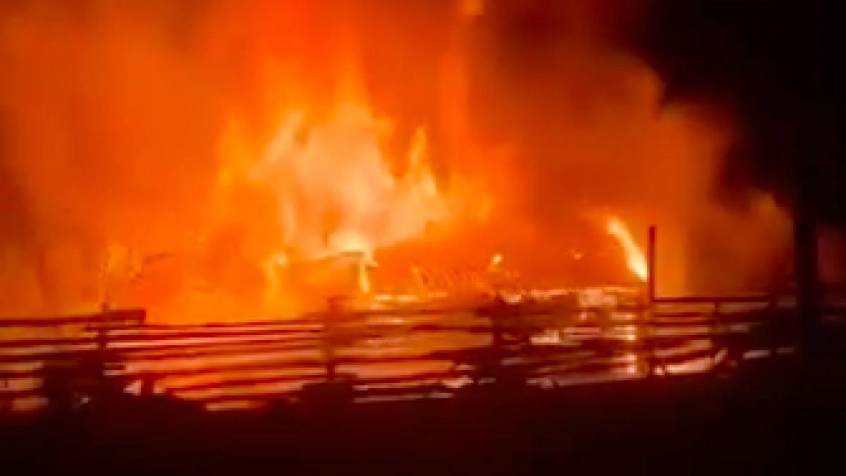 В Иркутской области вынесли приговор за поджог загона с животными