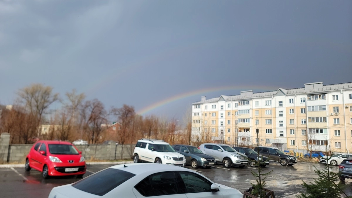 Погода в Иркутской области 24 апреля будет ветреной с дождём и мокрым снегом