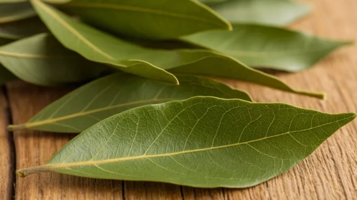 Теперь я покупаю лавровый лист упаковками, но не для готовки — соседка дала полезный совет на весну