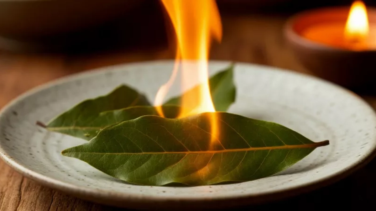 Поджигаю лавровый лист в квартире каждый май — старинный ритуал, который стал трендом 2026 года. И вот зачем