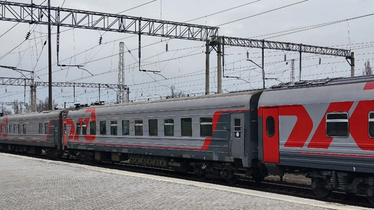 Что взять с собой в поезд? Полный список незаменимых вещей, чтобы не превратить путешествие в испытание