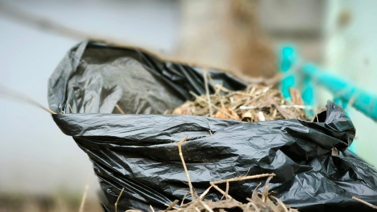 В Усолье школьники вышли на субботник вдоль трамвайных путей на улице Розы Люксембург